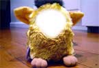 Furby